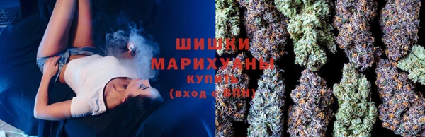прущая мука Богданович