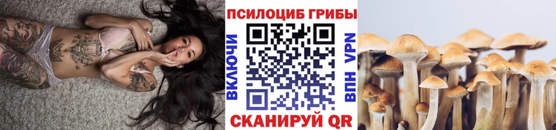 закладка  Михайлов  Псилоцибиновые грибы Cubensis 